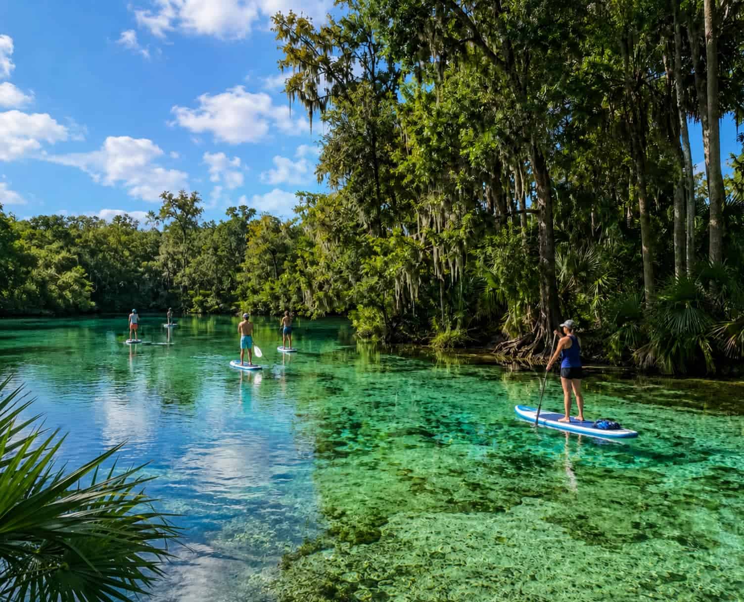 Paddleboarding on the spring-fed river in Dunnellon FL